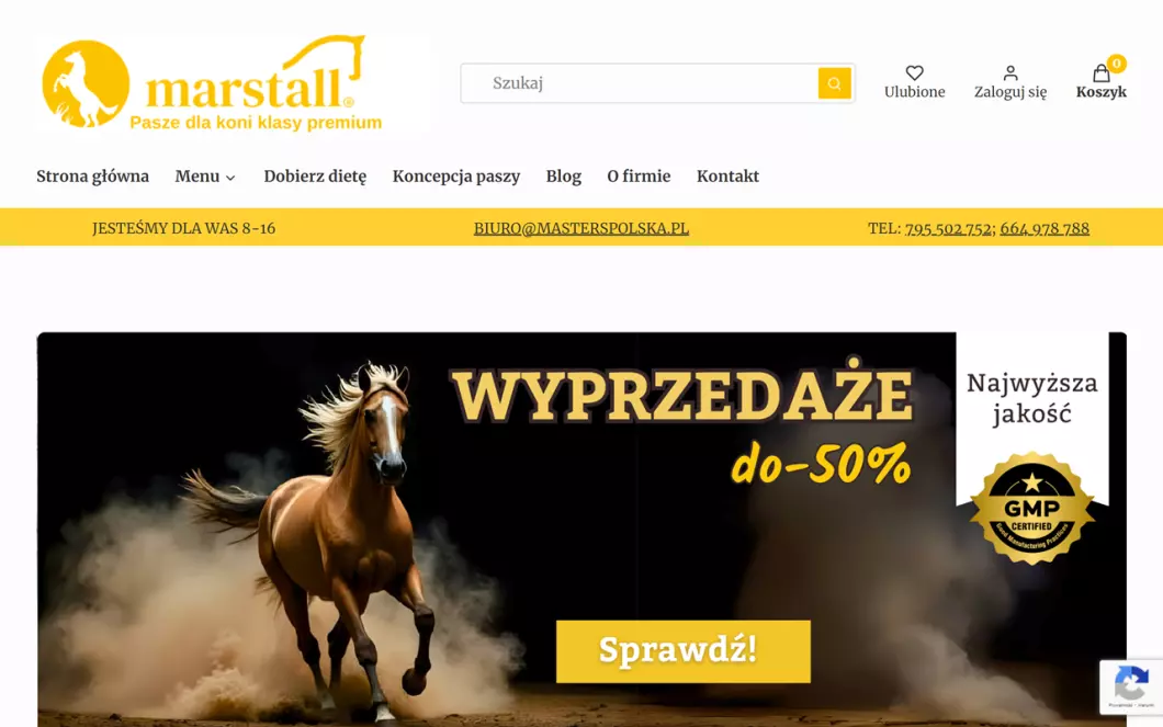 Masters Polska - podgląd